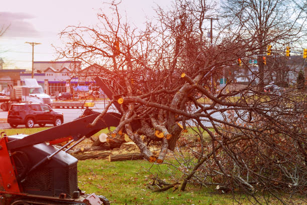 Seasonal Cleanup in Kootenai, ID