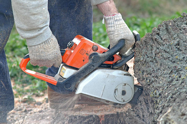 Kootenai, ID Tree Services Company